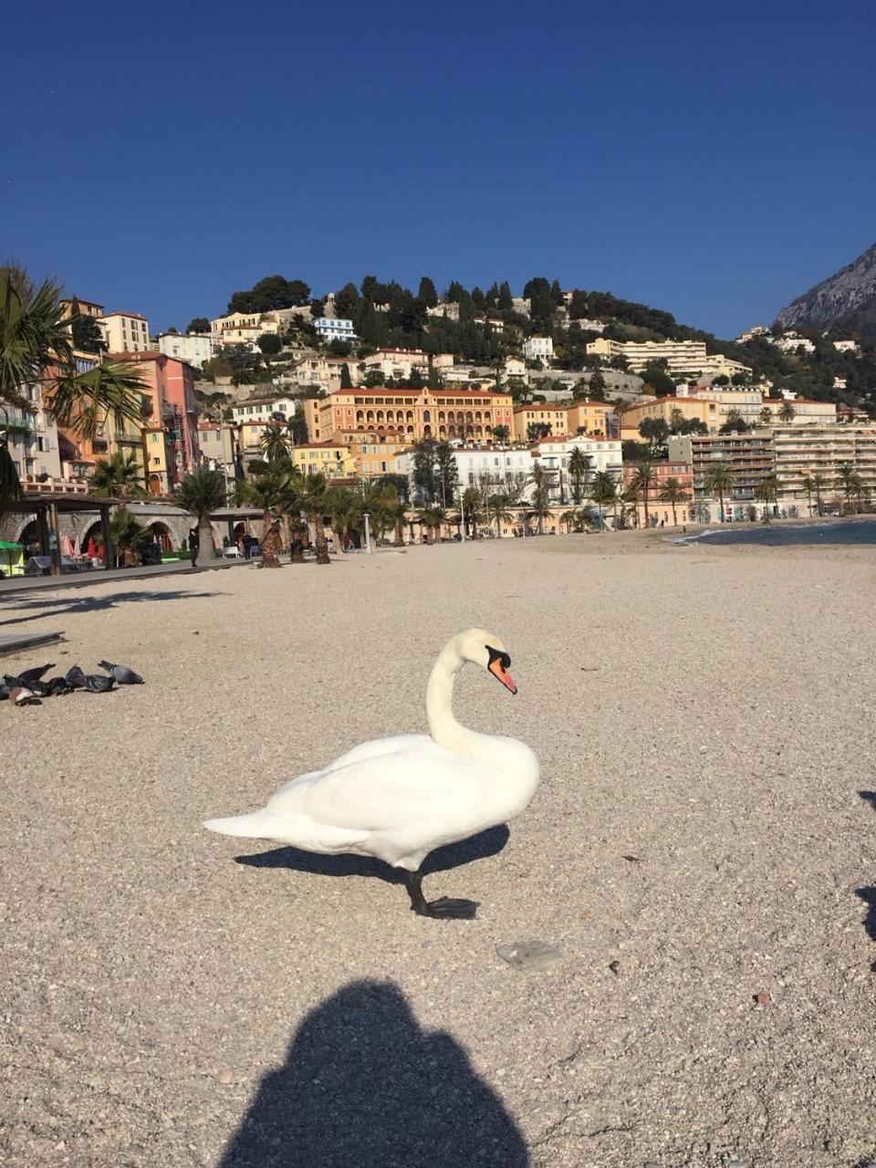 Appartement Central Des Terres Chaudes Proche Bord De Mer Menton Eksteriør bilde
